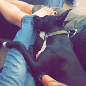 Meet your Posher, Kelsey